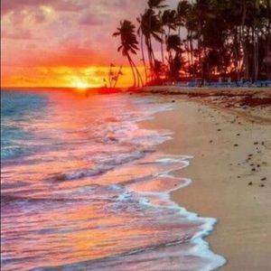 Meet your Posher, Sophia